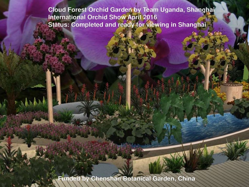 UG Royal Landscapes