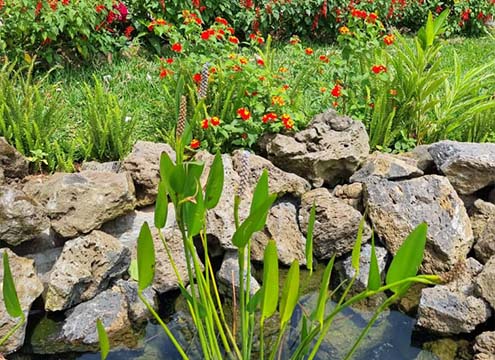 UG Royal Landscapes