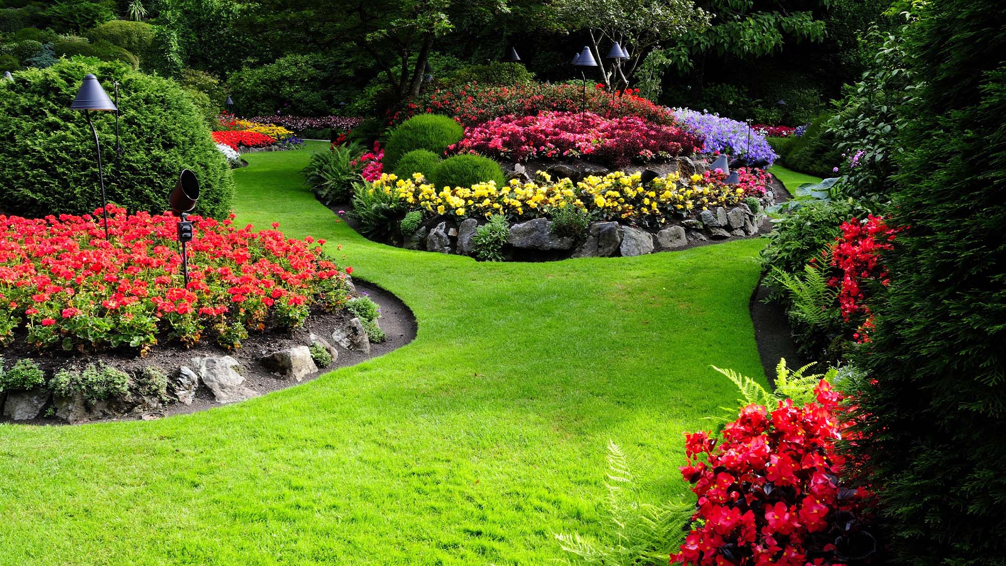 UG Royal Landscapes